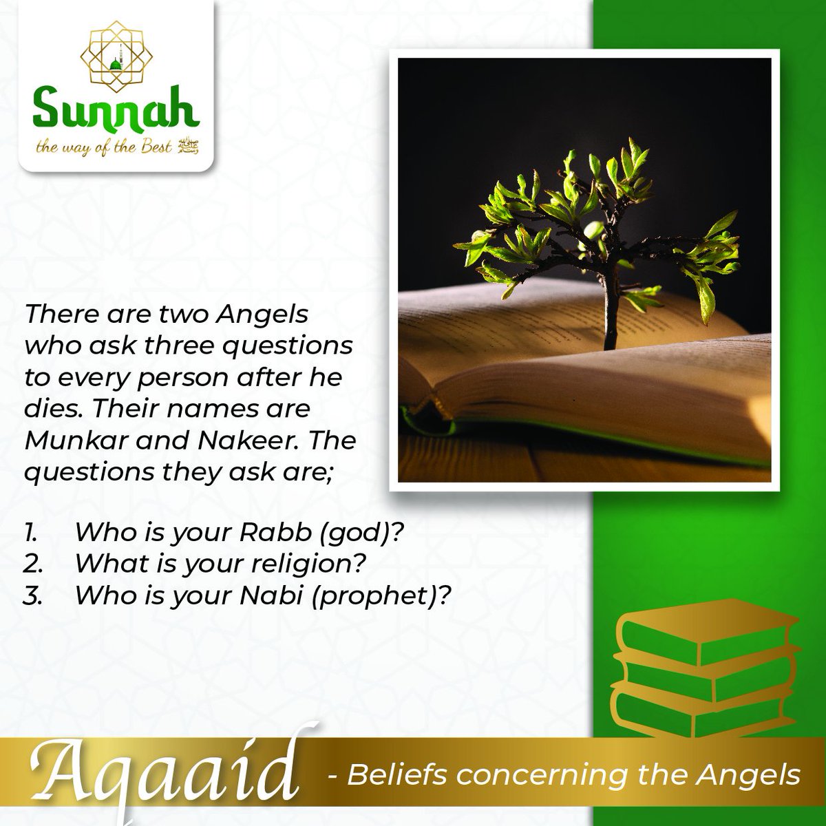 TheWayOfTheBest's tweet photo. Munkar and Nakeer
#Angels
#Aqaaid https://t.co/n7LyA3URjo