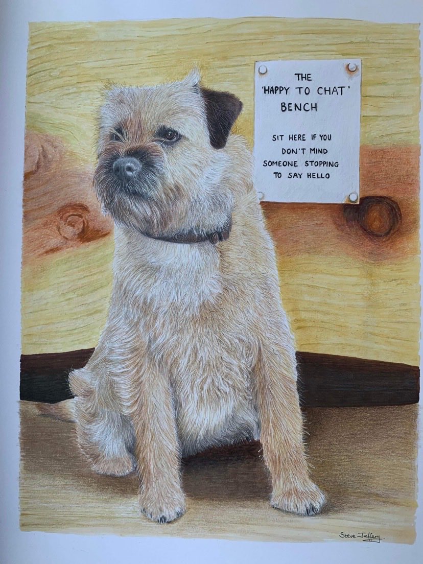 mindful_HHS's tweet image. A portrait of my Border Terrier Molly on the chatty bench waiting for a chat in Rhyddings Park, Oswaldtwistle ⁦@FORPark⁩ ⁦@BBCNWT⁩ #borderterriers #chattybench #northwesttonight