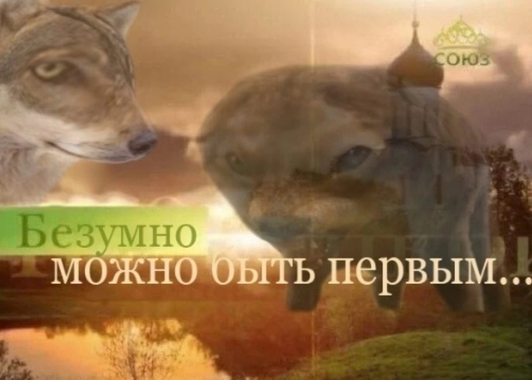 Безумно быть первым волк