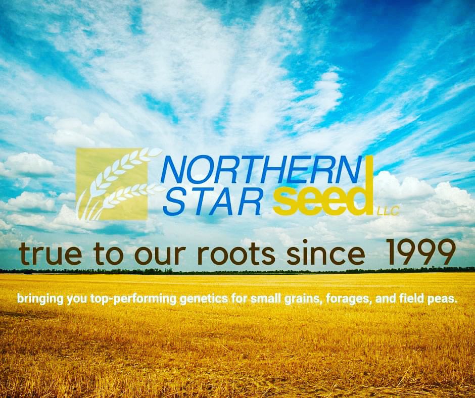 NorthernStarIS's tweet photo. #northernstarseed https://t.co/Qn5V2Iz9y0