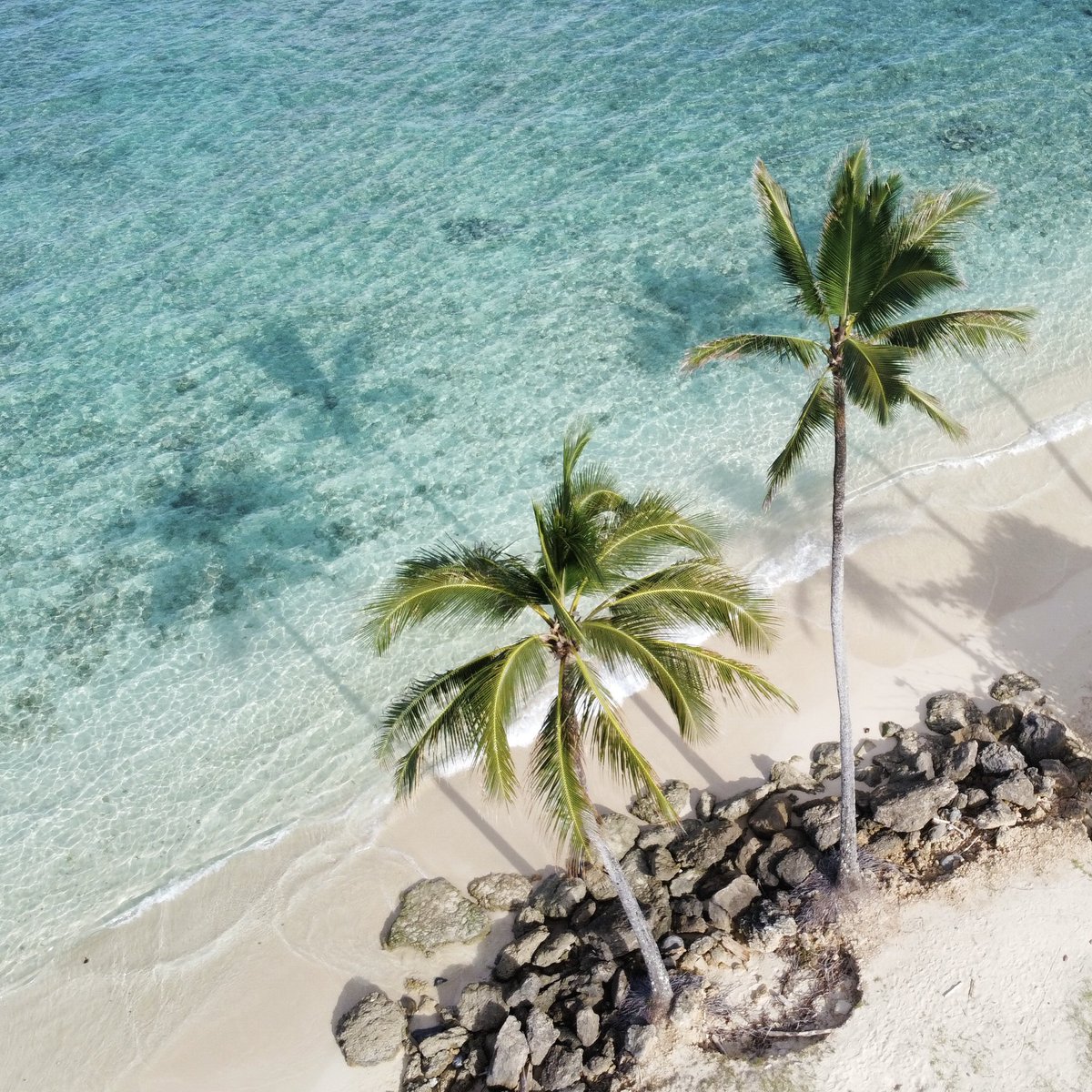 Good morning to the ones who are craving Hawai‘i beaches and Hawai‘i beaches only. 🏝

📷 @caseybarrick (Instagram)