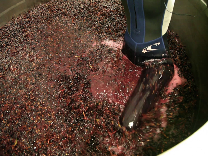 ClosDeLaTech's tweet photo. Our winegrowing and winemaking procedures make our wines profound and delicious. We don’t rack, pump, or filter, and we use sterilized gear to crush our grapes! https://t.co/3X6PRxZl4F