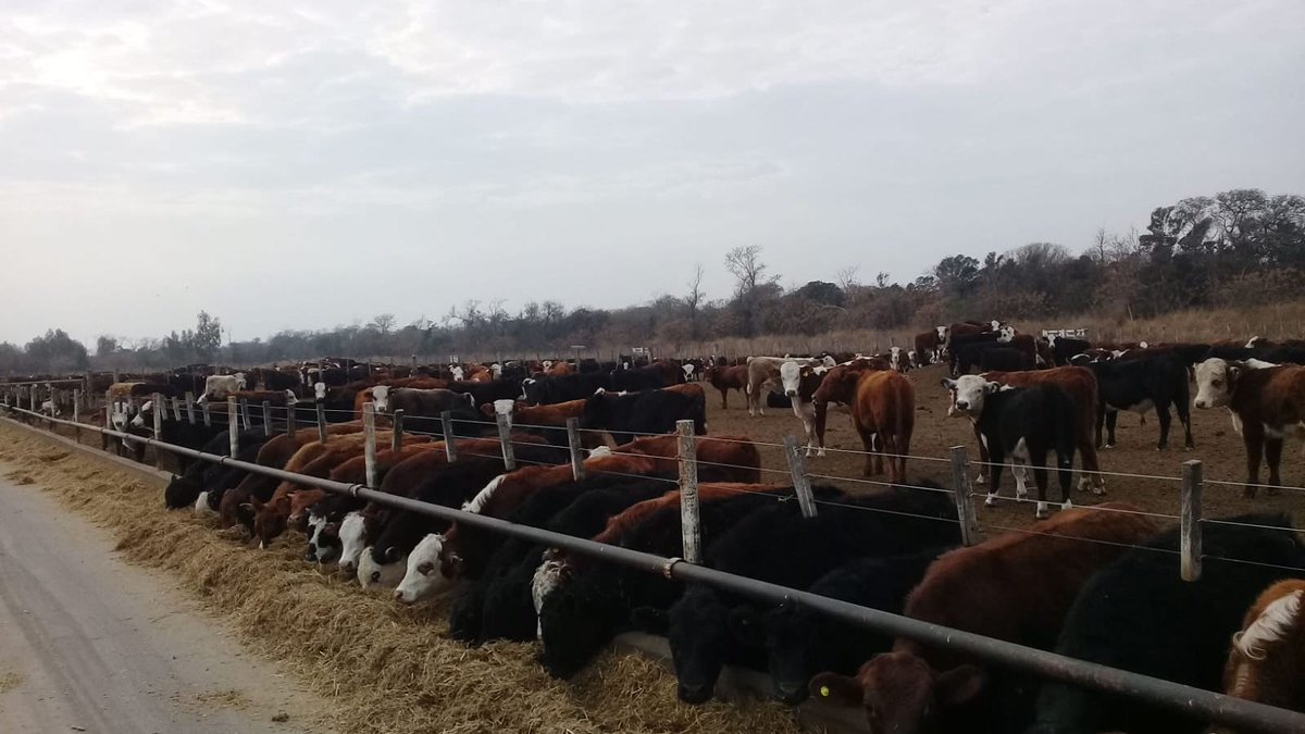 agrocontrolcba's tweet photo. En momentos de #volatilidad en #precios de los bienes, es necesario llevar actualizados nuestros números (cierres mensuales) para entender dónde, cómo y cuánto estamos generando #resultados. https://t.co/KqhgUIVh71