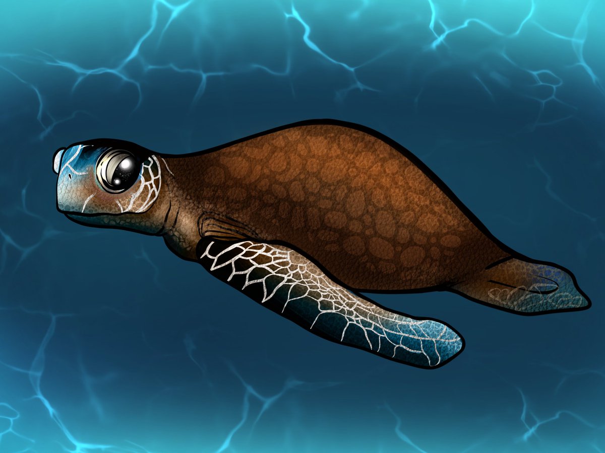 Find_Drop's tweet photo. On the Market Very Soon!

#nft #nfts #nftart #nftcollector #nftartwork #opensea #openseanft #turtleoffeelings https://t.co/2qkReaxzYs