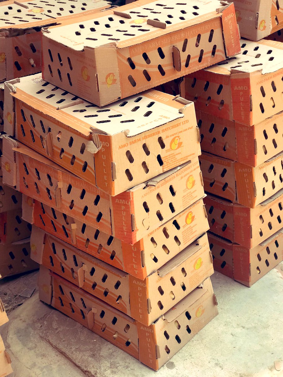 Atanda Jamiu (@atandajamiu11) on Twitter photo 