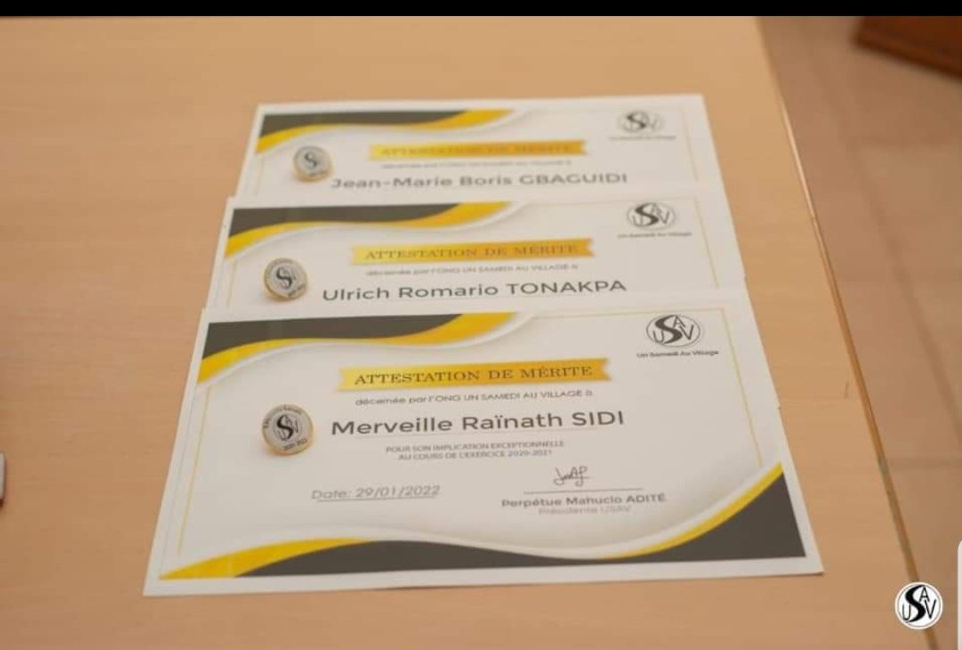 Assemblée générale annuelle Usav 
Le samedi 29 janvier 2022, s'est tenu au siège du CIAAF Bénin notre Assemblée générale annuelle.