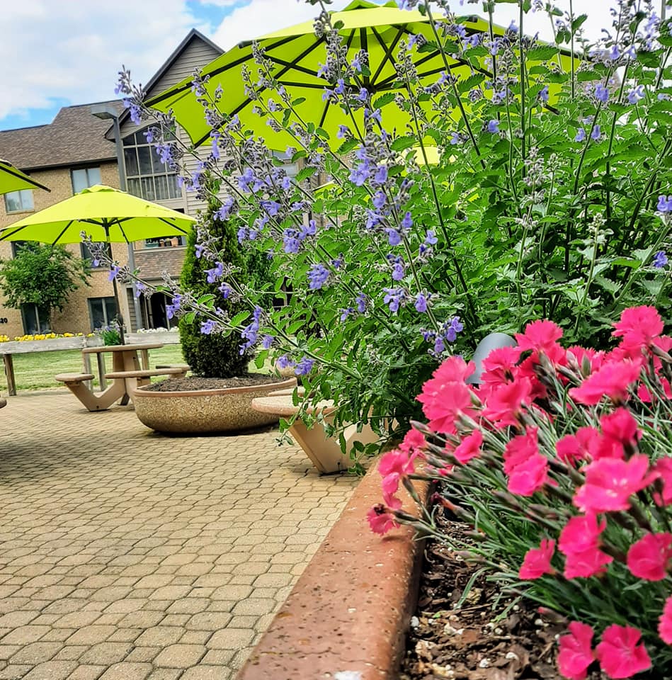 Senior living has a lot to offer, making it easy to say yes to moving, but it also makes the search overwhelming.  Follow the link for the questions we recommend asking when shopping to make an informed decision: ow.ly/jcme50HVUUP
#supportingfriends #embraceaging