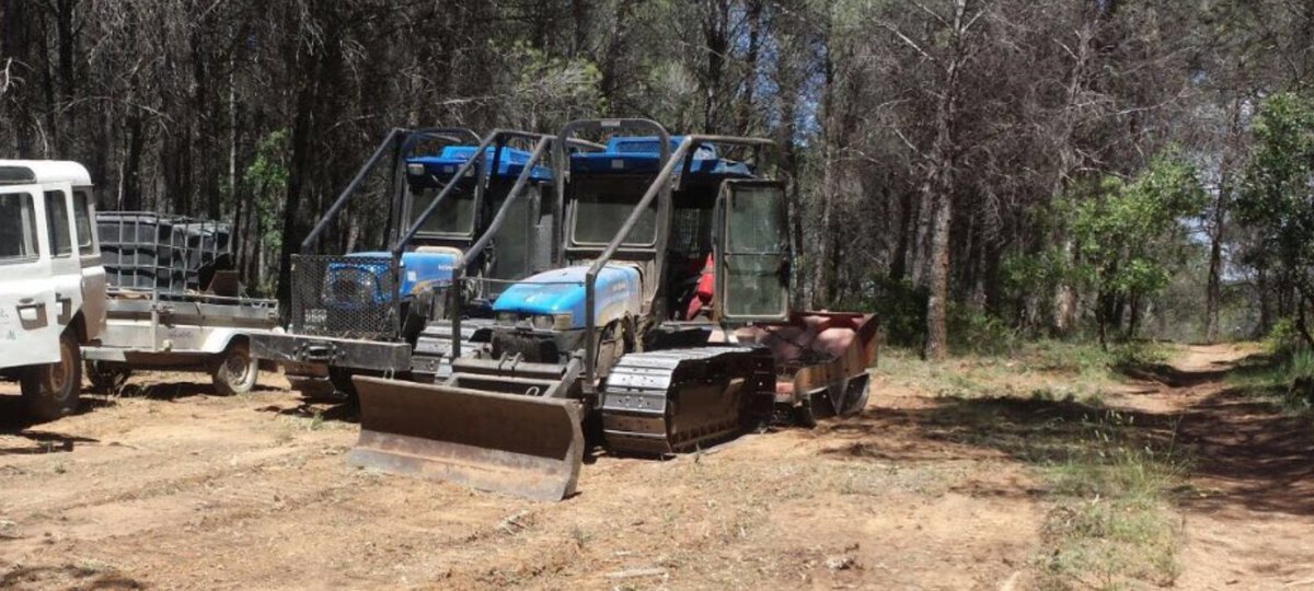 Forestal Alcarreña (@forestalcarr) on Twitter photo 