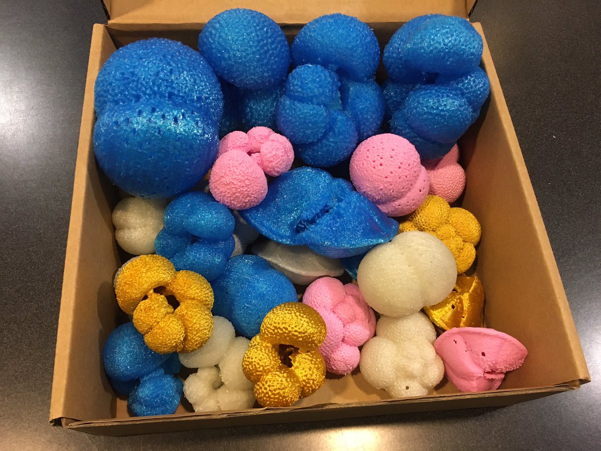 FritzEndres's tweet photo. So excited to send these 3D models of foraminifera to the 2022 Discovering the Scientist Within girls!Colors include glow-in-the-dark and bubblegum! Models available at https://t.co/ixsSsOiV3g. @PrecollegeOSU @OSUValleyLib @OSU3DPC #foraminifera #forams #scicomm #3Dmodels https://t.co/nRhmnUgUaR