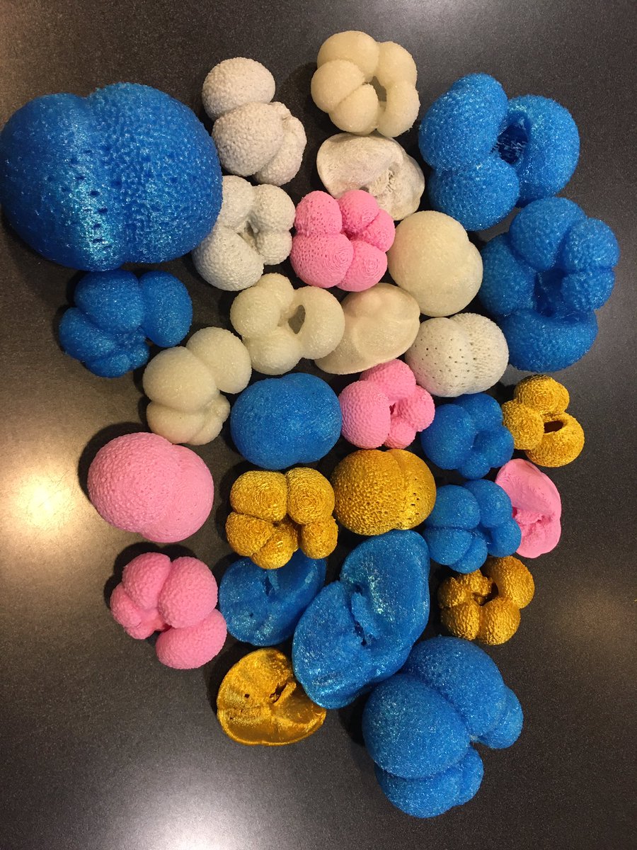 FritzEndres's tweet photo. So excited to send these 3D models of foraminifera to the 2022 Discovering the Scientist Within girls!Colors include glow-in-the-dark and bubblegum! Models available at https://t.co/ixsSsOiV3g. @PrecollegeOSU @OSUValleyLib @OSU3DPC #foraminifera #forams #scicomm #3Dmodels https://t.co/nRhmnUgUaR