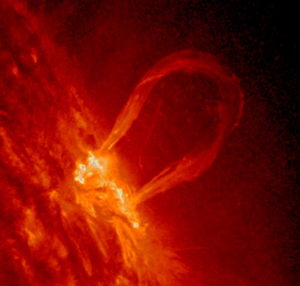 Space Weather Watch tweet media