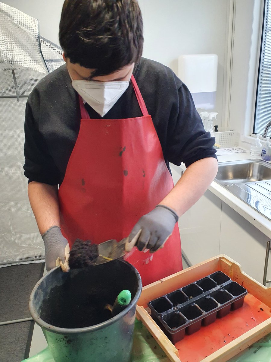 Cantonian_Base's tweet image. Lots of creative activites going on in the base today! String Art 🎨 and Planting 🌱 #create #accessbase #learningforlife