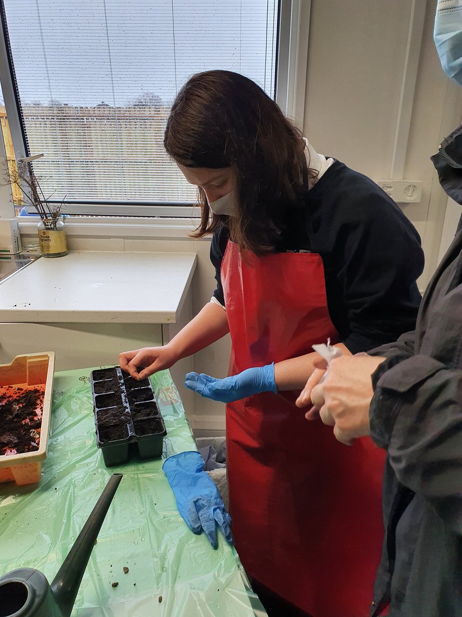 Cantonian_Base's tweet image. Lots of creative activites going on in the base today! String Art 🎨 and Planting 🌱 #create #accessbase #learningforlife