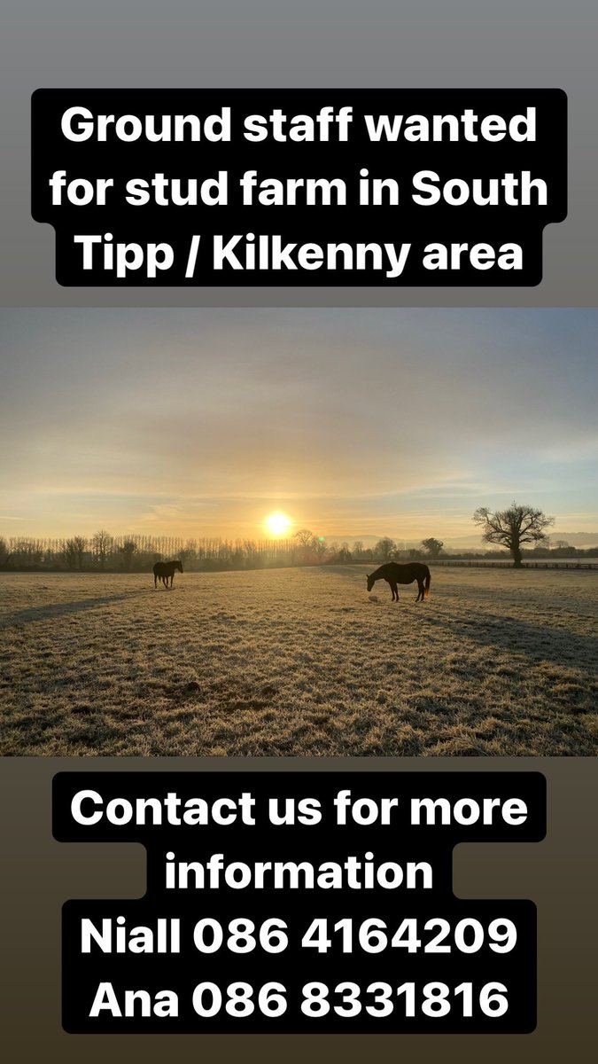 anaobrien2's tweet photo. Ground staff wanted, contact us for more information. https://t.co/zZdqe0iik8