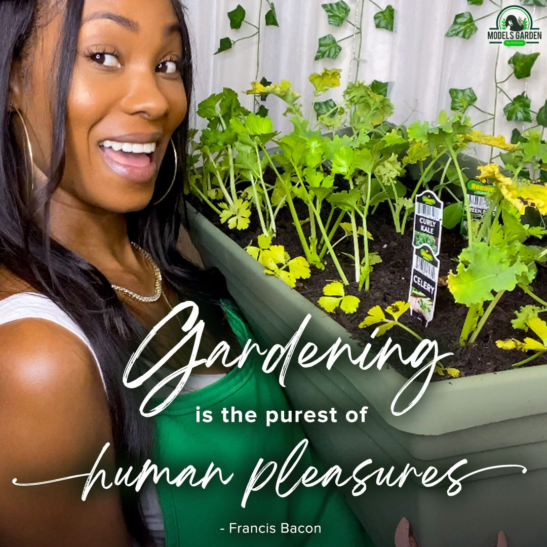 ModelsGarden's tweet image. Surely, gardening is a pleasure! 🧤 We get to appreciate the calming presence of greeneries and enjoy the fruit of our hard work. 🌿 

.
.
.
.
.
.
.
.
.
.
#ModelsGarden #growyourown #homegrown #homemade #plantlife #plantsmakepeoplehappy #gardening #medicinalherbs #plantwithMo