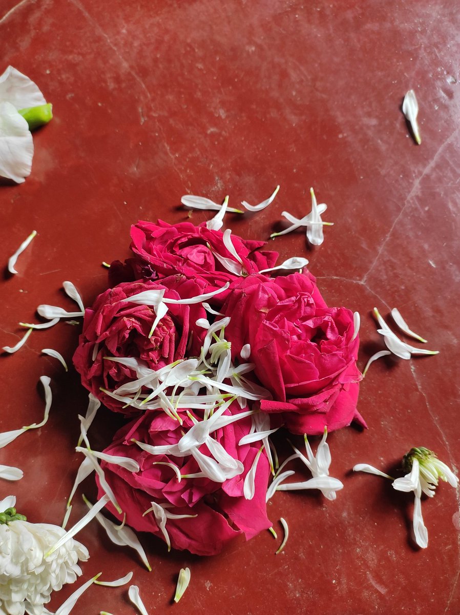 Emon (@emon90081354) on Twitter photo 