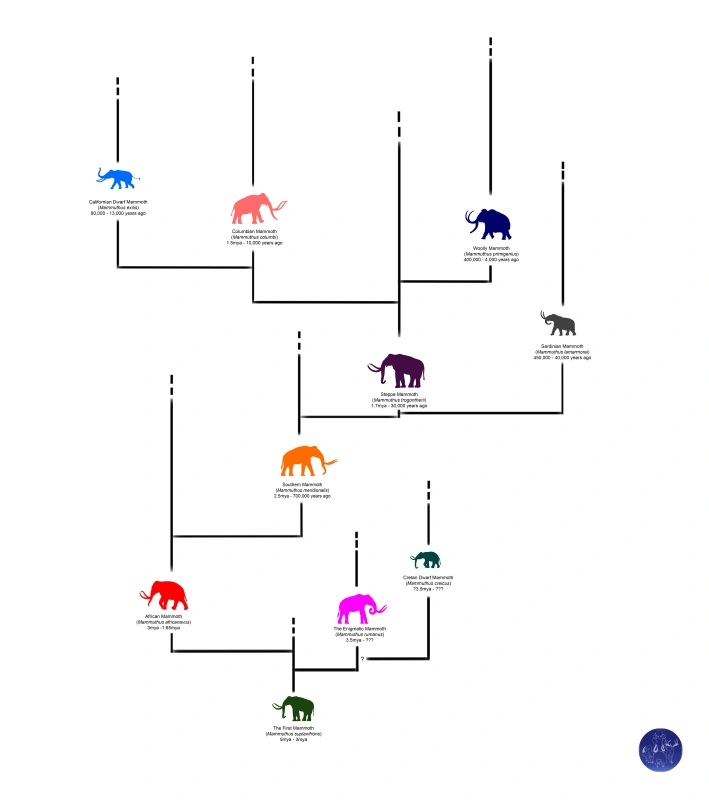 TwilightBeasts's tweet photo. Our 4th most read post was all about the MAMMOTHS!!!!! 10 SPECIES OF THEM!!!!!!

https://t.co/ORJiPgPT4f https://t.co/ofVrQ3GneU