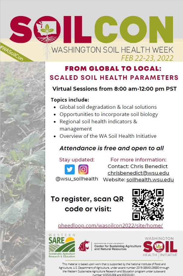 WSUSmallGrains's tweet image. One more week until we hear from renown experts in soil health at #SoilCon! Our latest #TimelyTopic describes how #WaSHI is pioneering long-term agroecological research &amp;amp; extension sites in WA &amp;amp; the status of the Soil Heath Baseline Assessment👇🌾 #GoCougs smallgrains.wsu.edu/soil-health-fo…