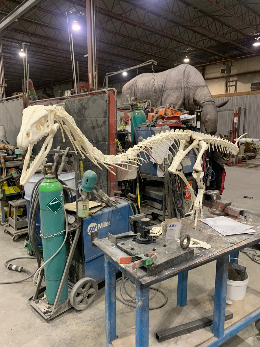 ResearchCasting's tweet photo. Our #Coelophysis friend is almost mounted and preparing to make the trip out to @FundyGeoMuseum once complete!
#Dinosaur #Dino #DinoSkeleton #DinosaurSkeleton #coelophysid #theropod #triassic #triassicperiod #coelophysis #FundyGeoMuseum https://t.co/fq5UaQQOJW