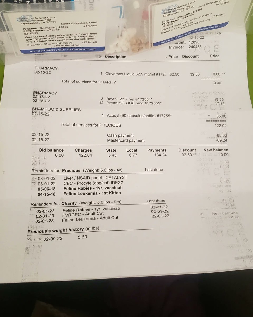barncatlady's tweet photo. Precious Update: Vet is pretty shocked she's eating and drinking, alert and doing reasonably well, considering!
Full post: https://t.co/OUvRz320tW
#CatsOfTwitter #kidneydisease #TNR #kittyupdate https://t.co/39hcxsm7PJ