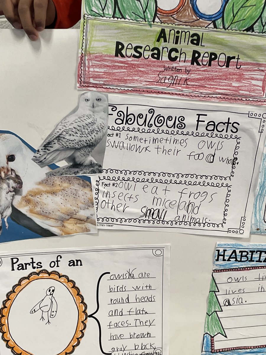 What a wonderful Animal Museum our first grade students in Mrs. Brieiten's class hosted this afternoon!  After stepping on their "button", the museum came alive, giving facts about the animals the students researched! <a href="/PTHBOEJoni/">Joni Benos</a> <a href="/PrincSebPowell/">Sebastian Powell</a>