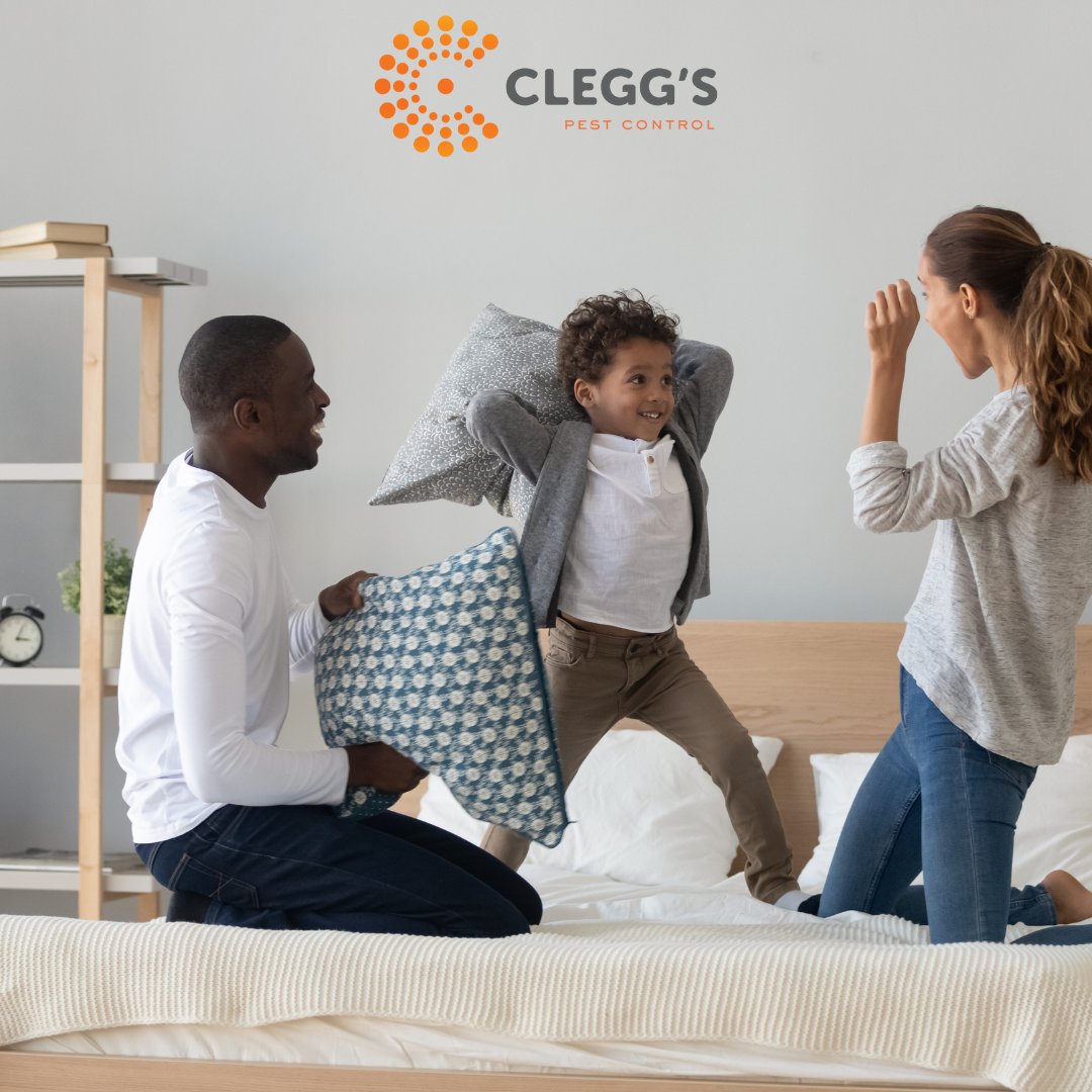 Let Clegg's Pest Control help you protect your home against annoying pests. New customers, contact us for $49 off your Initial General Pest Control Service!  cleggs.com 📲 888-MRCLEGG #cleggspestcontrol