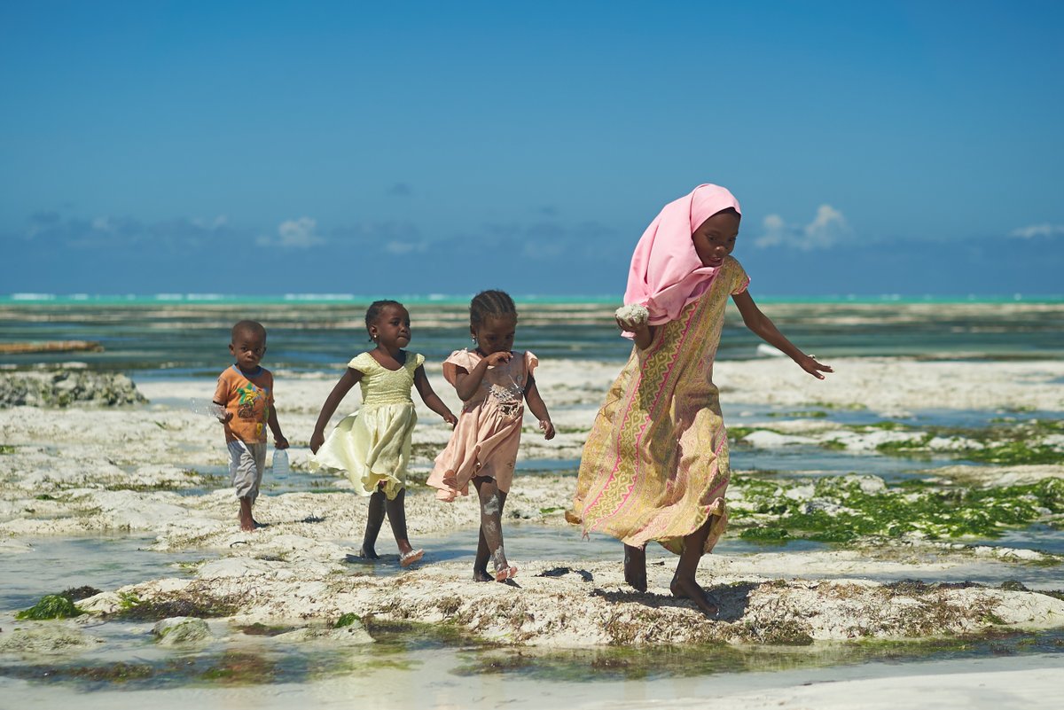 🌊 #OneOceanSummit: #UNESCO calls on countries to include #ocean education in school curricula by 2025 and unveiles the 'New Blue Curriculum: a toolkit for policy-makers'. Read more 👉bit.ly/3522Cc1 📌Discover the #OceanDecade contribution👉 bit.ly/3GRpqIC