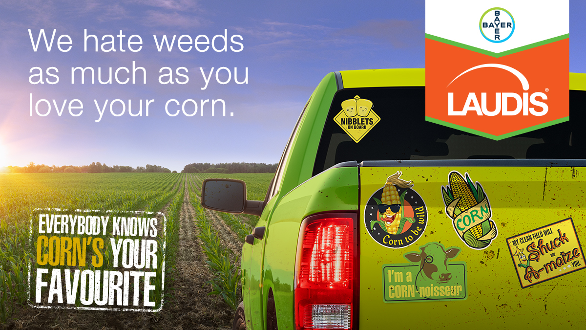 Bayer4CropsCA's tweet photo. We hate weeds as much as you love corn. 🌽 Join the fight with new #Laudis herbicide. Combat broadleaf weeds (even glyphosate-resistant ones!) by introducing #Laudis into the mix. Learn more at https://t.co/6ldViUh64t #CleanCornFields https://t.co/C3M544IkSU