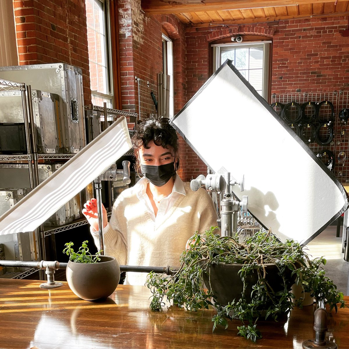 Rule Boston Camera (@rulebostoncam) on Twitter photo Our office plant is very particular about the light it gets. Not too direct, not too bright, kind of dappled is best. It’s a bit of a prima donna, if we’re being honest. Prep tech <a href="/Sarahpinheiro11/">Sarah Pinheiro</a> caters to it’s needs, lighting it the way Caleb Deschanel would. Our office plant is very particular about the light it gets. Not too direct, not too bright, kind of dappled is best. It’s a bit of a prima donna, if we’re being honest. Prep tech <a href="/Sarahpinheiro11/">Sarah Pinheiro</a> caters to it’s needs, lighting it the way Caleb Deschanel would.
