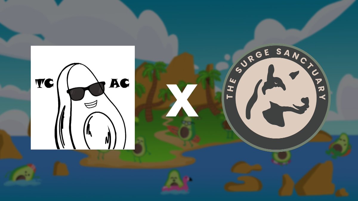 The Crazy Avocado Club tweet media