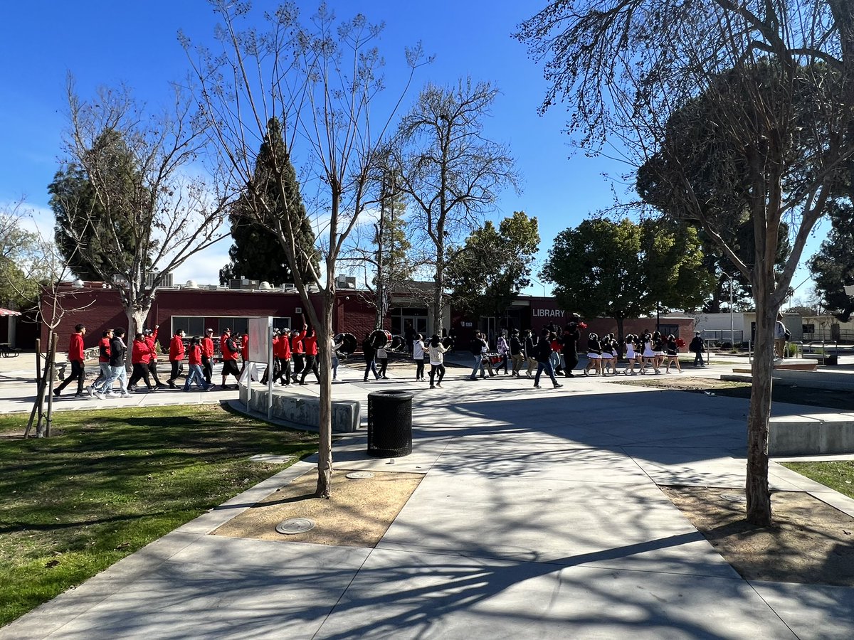 McLane Athletics tweet media