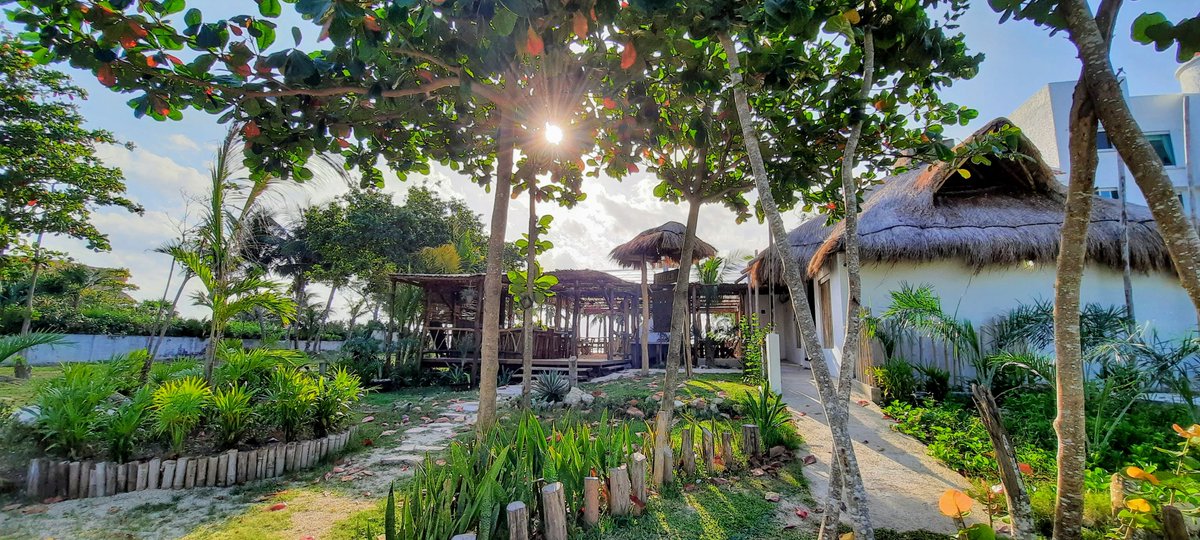 Casa de los Viajeros tweet media