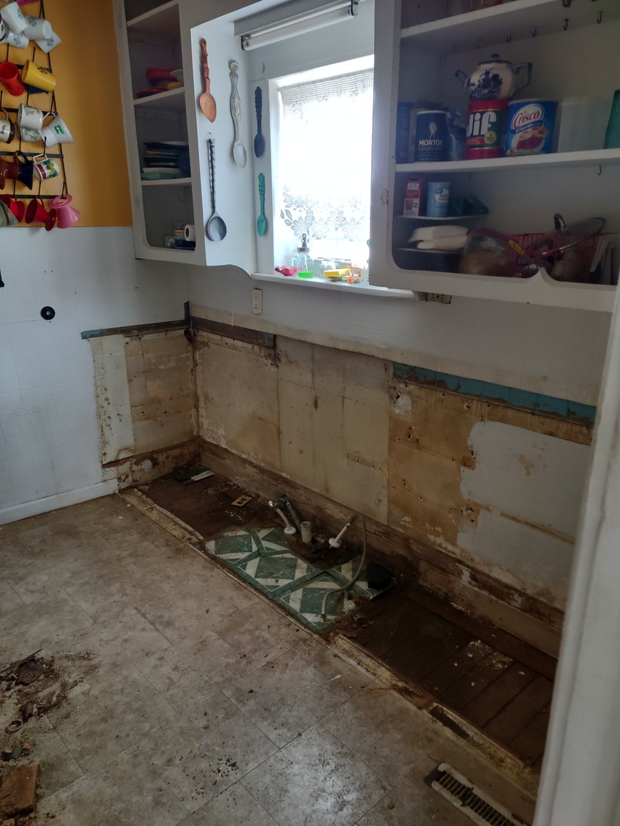 I ripped my kitchen cabinets out today.  I think things will be okay but cross your fingers anyway.  🤞