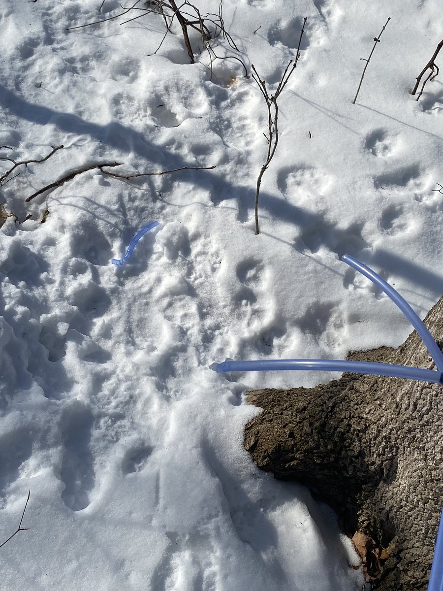 Jim Lumsden tweet media