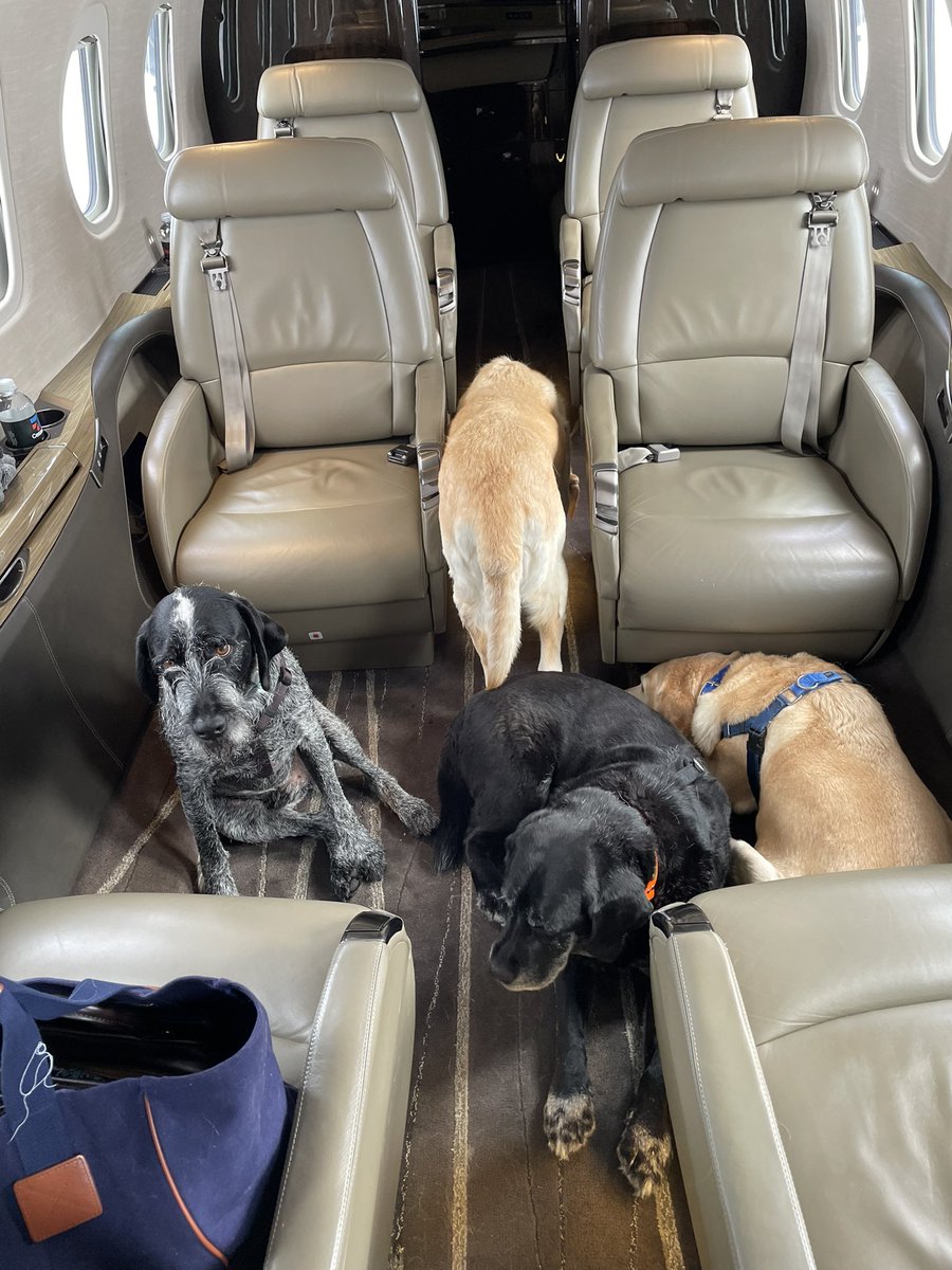 Happy Pax in our Cessna Latitude last week