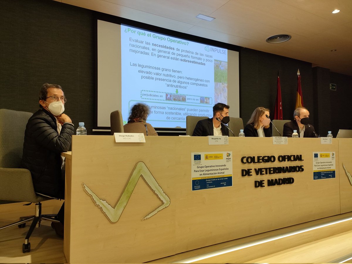 RedArax (@red_arax) on Twitter photo 📸Para cerrar un día muy intenso publicamos foto de la presentación del proyecto <a href="/GoInpulse/">GO_INPULSE</a> hoy en Madrid 🚅
👨🔬Nuestro compañero <a href="/jesusabadias1/">Jesús Abadias Ullod</a> <a href="/CoopsAgroARA/">Cooperativas Agroalimentarias de Aragón</a> ha explicado los trabajos para desarrollar las #leguminosas en Aragón con los ensayos #RedArax🔎
#HabasAragón 📸Para cerrar un día muy intenso publicamos foto de la presentación del proyecto <a href="/GoInpulse/">GO_INPULSE</a> hoy en Madrid 🚅
👨🔬Nuestro compañero <a href="/jesusabadias1/">Jesús Abadias Ullod</a> <a href="/CoopsAgroARA/">Cooperativas Agroalimentarias de Aragón</a> ha explicado los trabajos para desarrollar las #leguminosas en Aragón con los ensayos #RedArax🔎
#HabasAragón