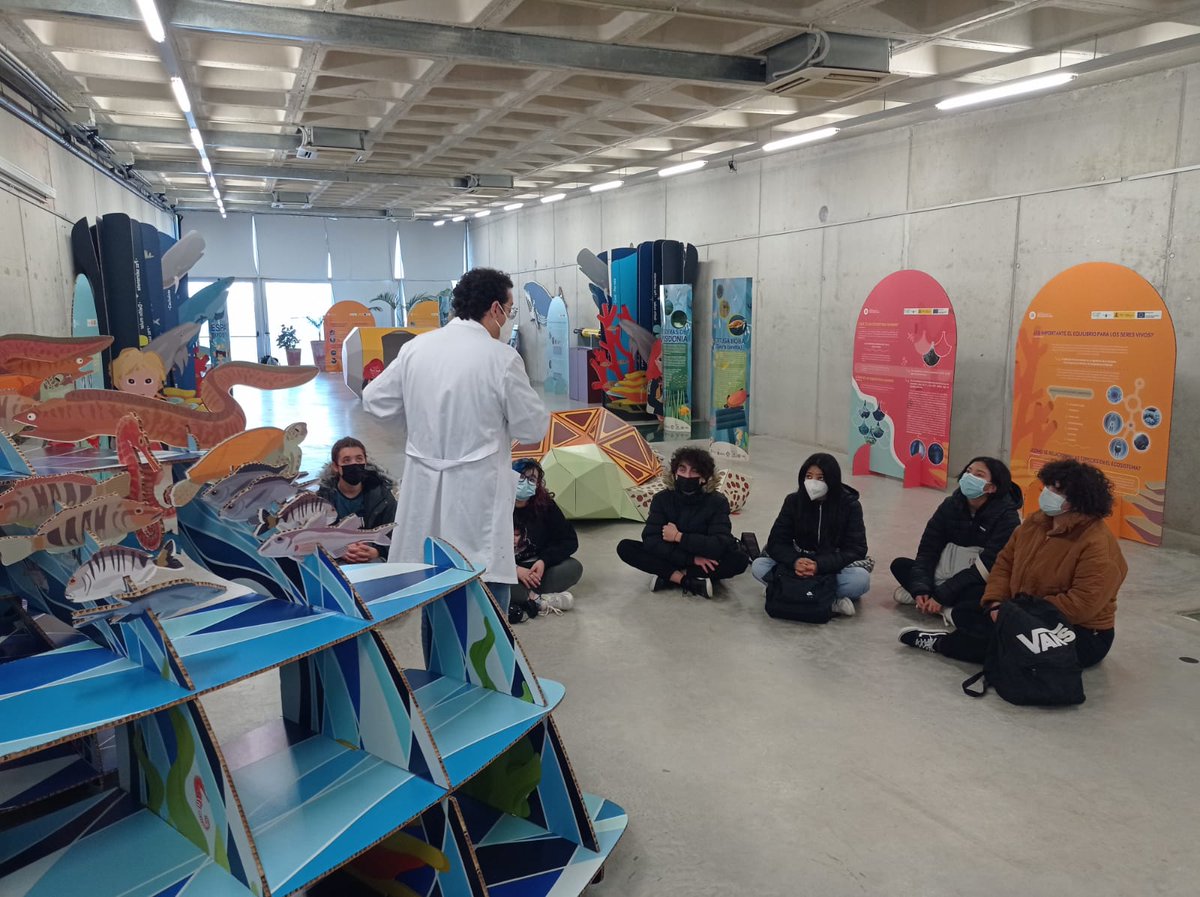 MiriamCampillo's tweet photo. Alumnos de 1º de Bachillerato de Artes, del IES Luis Manzanares de Torre Pacheco, han realizado una visita a la exposición de la biblioteca municipal science labkids. Biodiversidad marina y sostenibilidad. Proyecto que promueve la Fundación Instituto de la Inteligencia Libre. https://t.co/UaOqgAel6L