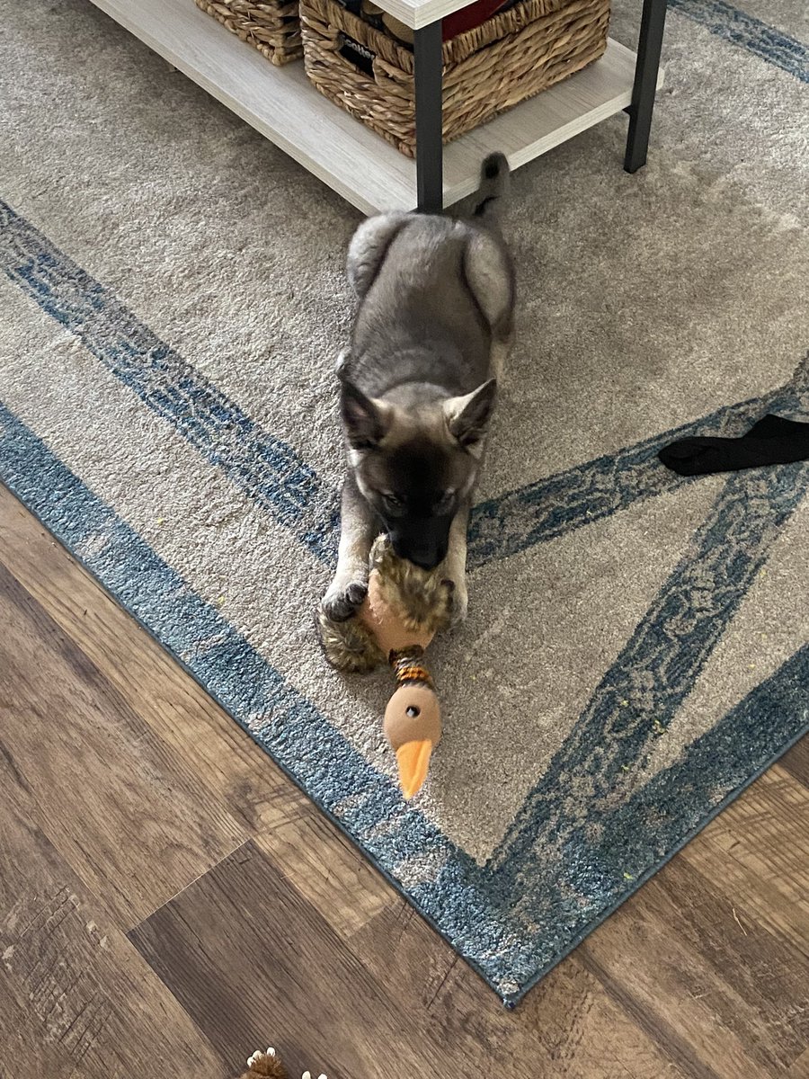 Meghan Coccia (@meghankathleen_) on Twitter photo 