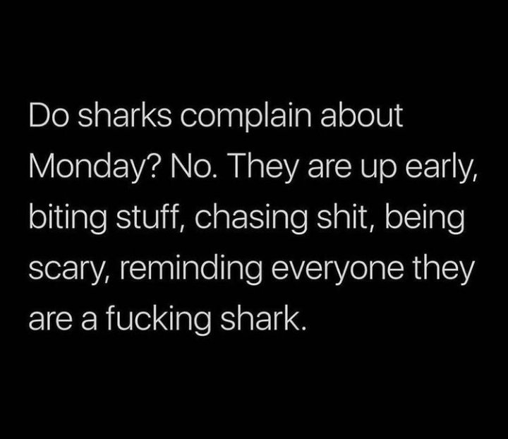 El_capriano's tweet photo. Stay woke 🦈‼️ https://t.co/yoHDABzqqv