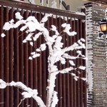 ツイートに含まれる画像