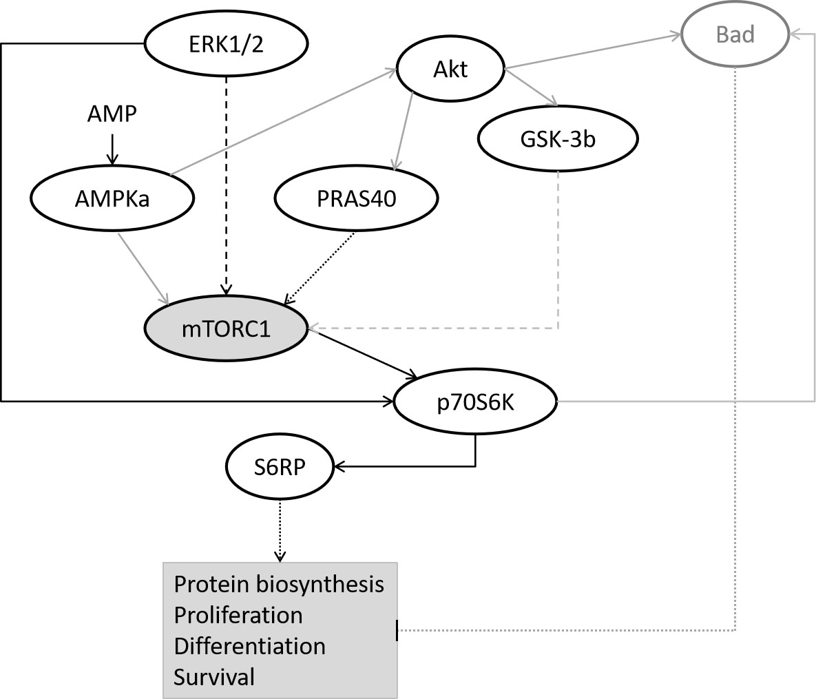 SzeAmber's tweet photo. The neuroendocrine effects of dehydroepiandrosterone and 17β-estradiol in the in vitro preterm hyperoxia infant model.
https://t.co/d4pU4xPBEI
#Neuroendocrinology #neuroscience https://t.co/ra77shha8t