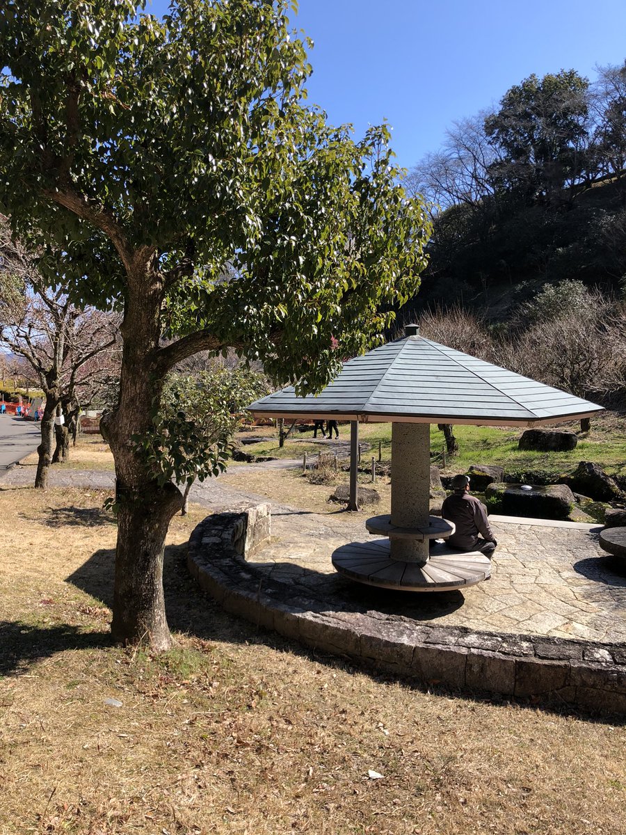 ingressTreasure's tweet photo. 【静岡県お宝情報】

「東屋（野外音楽堂奥）」

https://t.co/g3Wrbmwqki

東屋後ろの木の上に１個配置されました。

※発見された方はこの記事に【返信】をお願いします。 https://t.co/lpioffCNCe