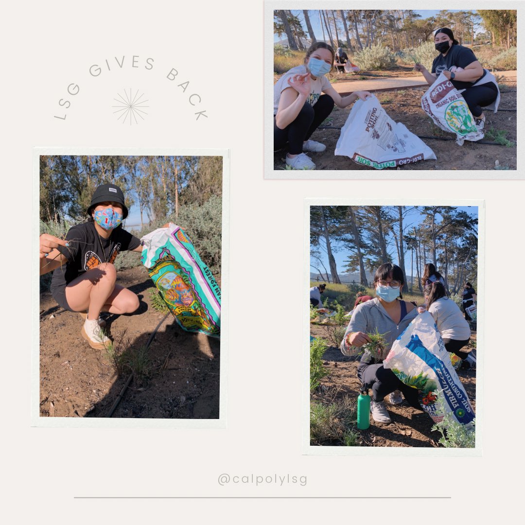 LSG_CalPoly's tweet image. This past weekend, the Sisters of Epsilon chapter had the opportunity to volunteer and give back to the SLO community. Our Sisters volunteered at the Sweet Springs Reserve and had a great time beautifying nature!🌿💚

Swipe to see our Sisters putting in that work!🤩💪🏽