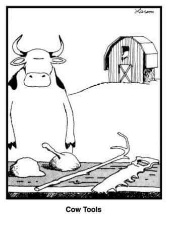 Deathbydvd's tweet photo. You may not know this but.
.Tuesdays are for cow tools. Here are the cow tools.
#CowTools #CowToolsTuesday https://t.co/vUJco8Pbts