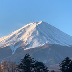 ツイートに含まれる画像