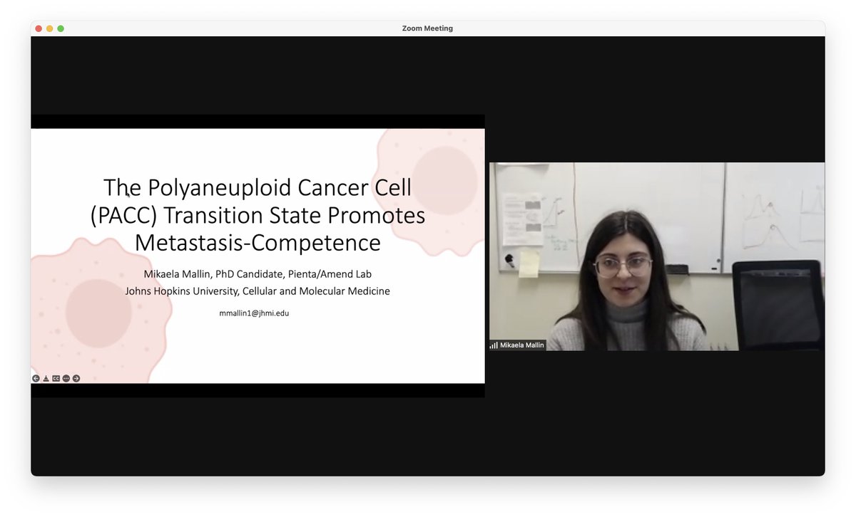 Spectacular talk @MallinMikaela at the @CancerandBone YI symposium today. #PACCs #CancerResearch @CMM_JHU @brady_urology