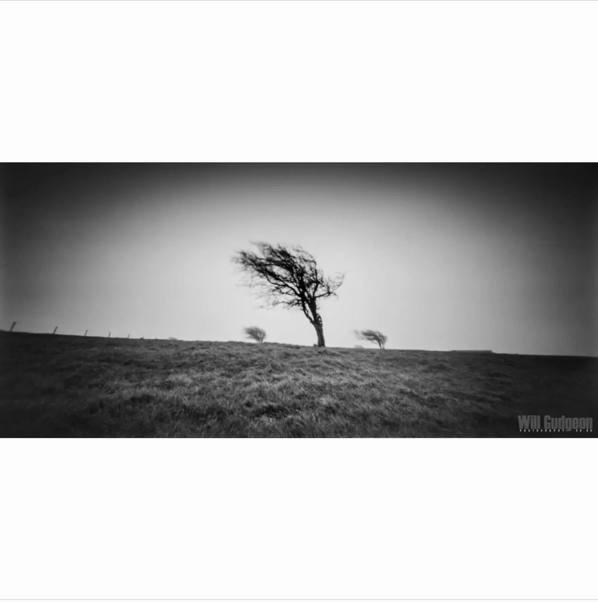 pixllatr's tweet photo. Lovely pinhole shot from https://t.co/KJOHaoNODD 
"A lifetime of being battered by the wind
3 windswept trees on the South Downs taking with my Holga Wide Pinhole Camera in 25+mph winds 🍃💨" 
Thanks for letting us share 😀 https://t.co/2CY1z4p8wy
