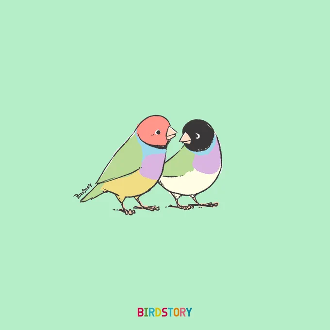 おはようございます。
本日は2月16日、語呂合わせから、似合う色の日とのことです🎨
#BIRDSTORY 
#コキンチョウ 