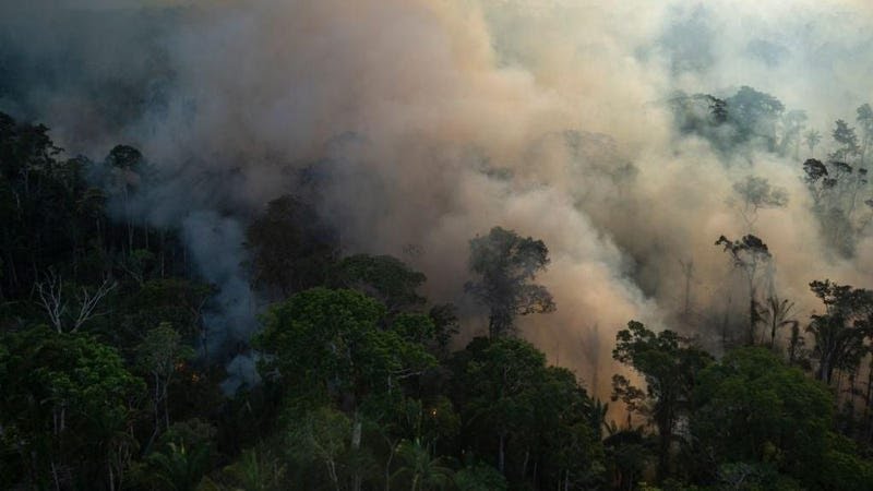 RT @BiologistDan: The Amazon is on fire. A record month of deforestation in Brazil. https://t.co/UOkxvTREgI
