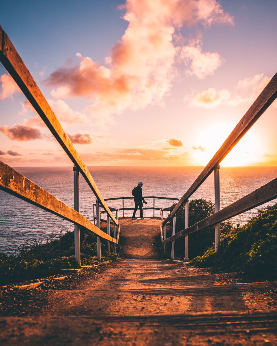 Jason Paukei tweet media